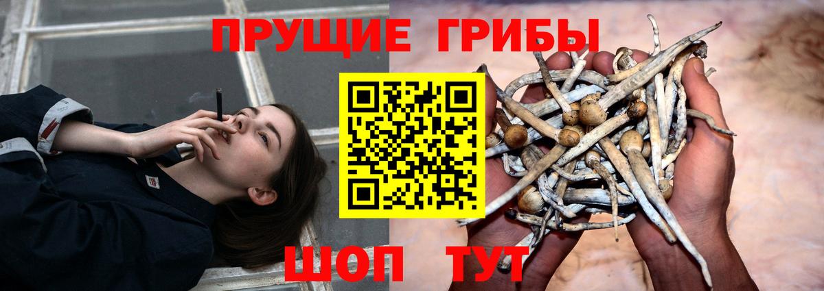 цены наркотик  Псилоцибиновые грибы мицелий  Вход с VPN  Нижневартовск 